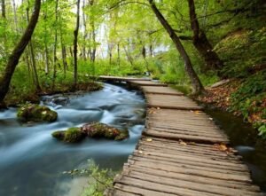 Réflexologie kinésiologie massage depuis 2008 Saint Brieuc Langueux Trégueux 22