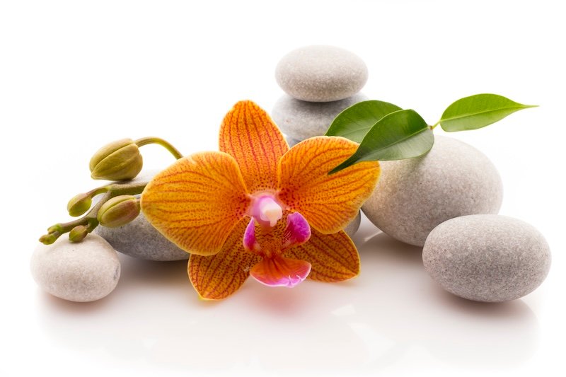 Salon de massage - Saint Brieuc - Langueux - Yffiniac - Trégueux