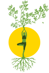 approche ostéopathie énergétique Langueux Saint Brieuc Yffiniac